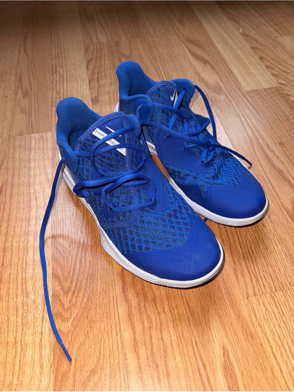 Nike Kids Royal Blue Mesh Sneakers